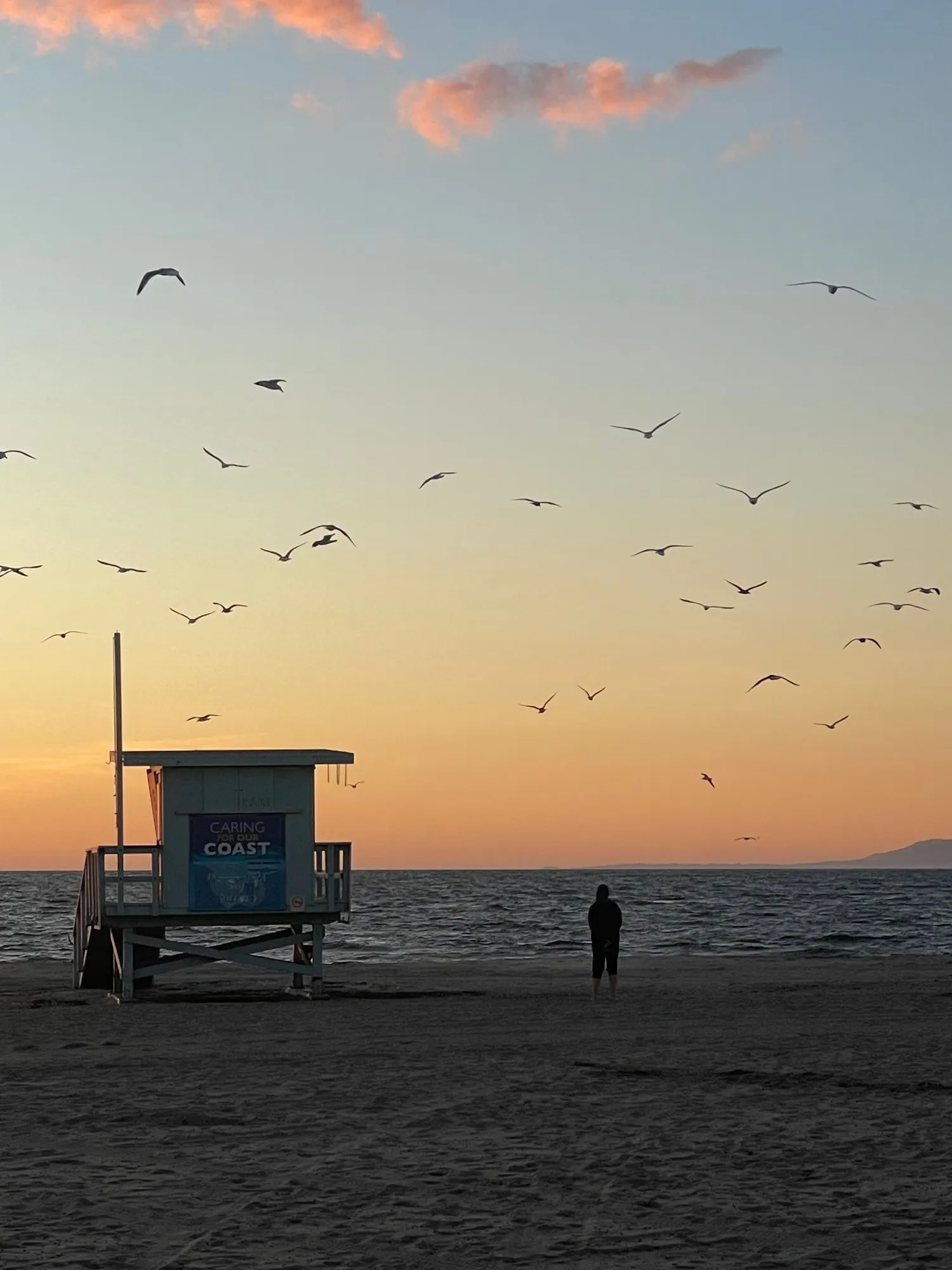 Birds over the lifeguard tower. A beach observation made in the changing evening light.