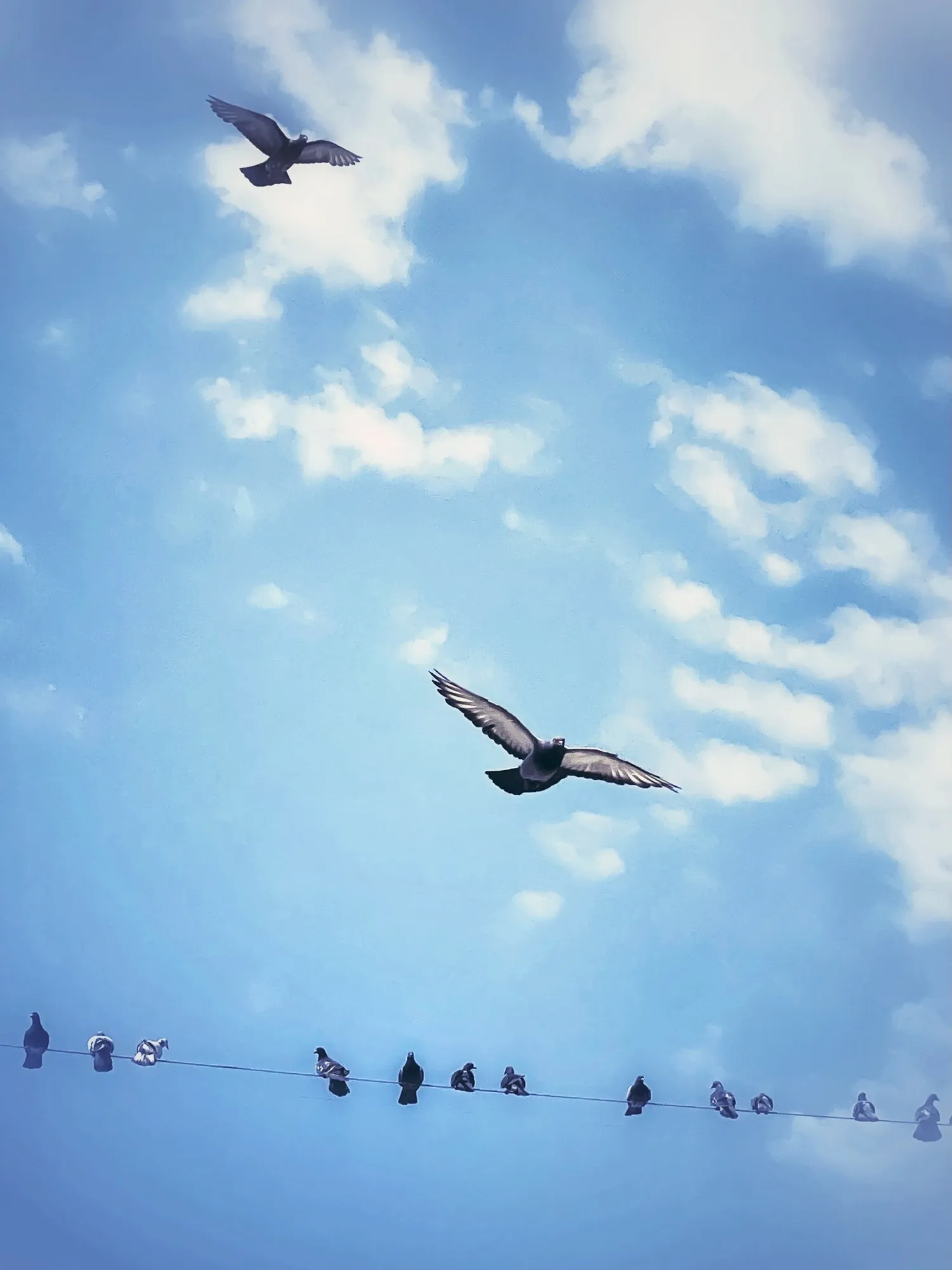 A line of birds crosses a blue sky above the coastline.
