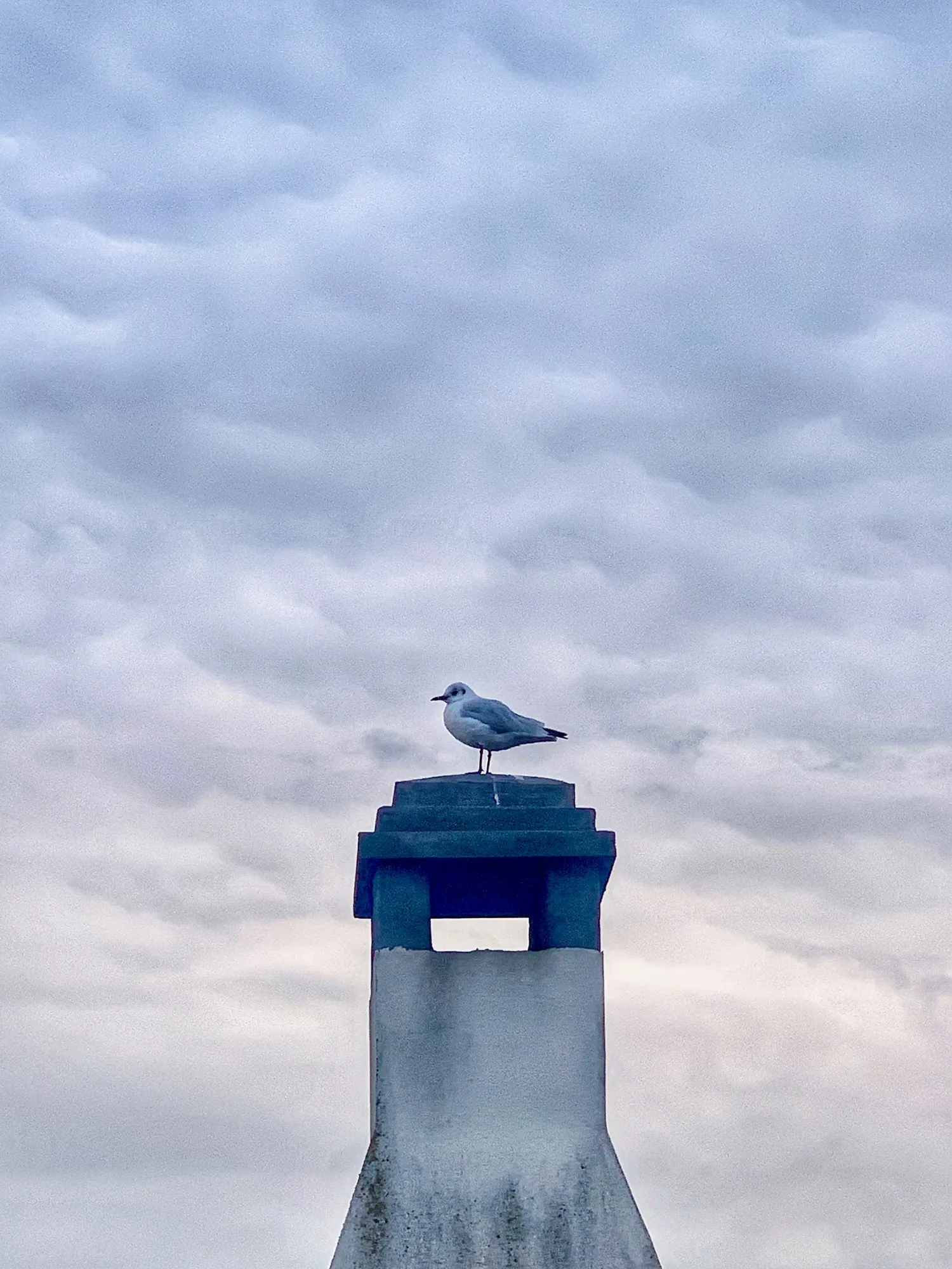 A small bird perched on a blue-topped post beneath a clouded sky