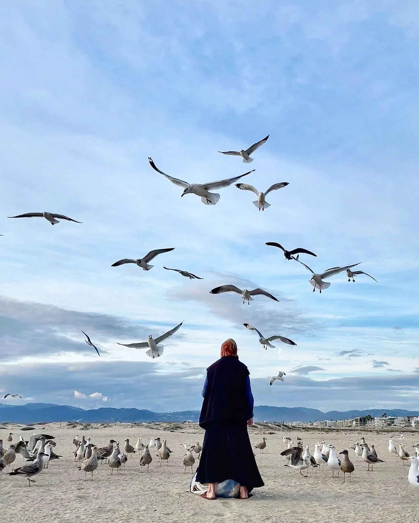A person seen from behind surrounded by gulls on the beach