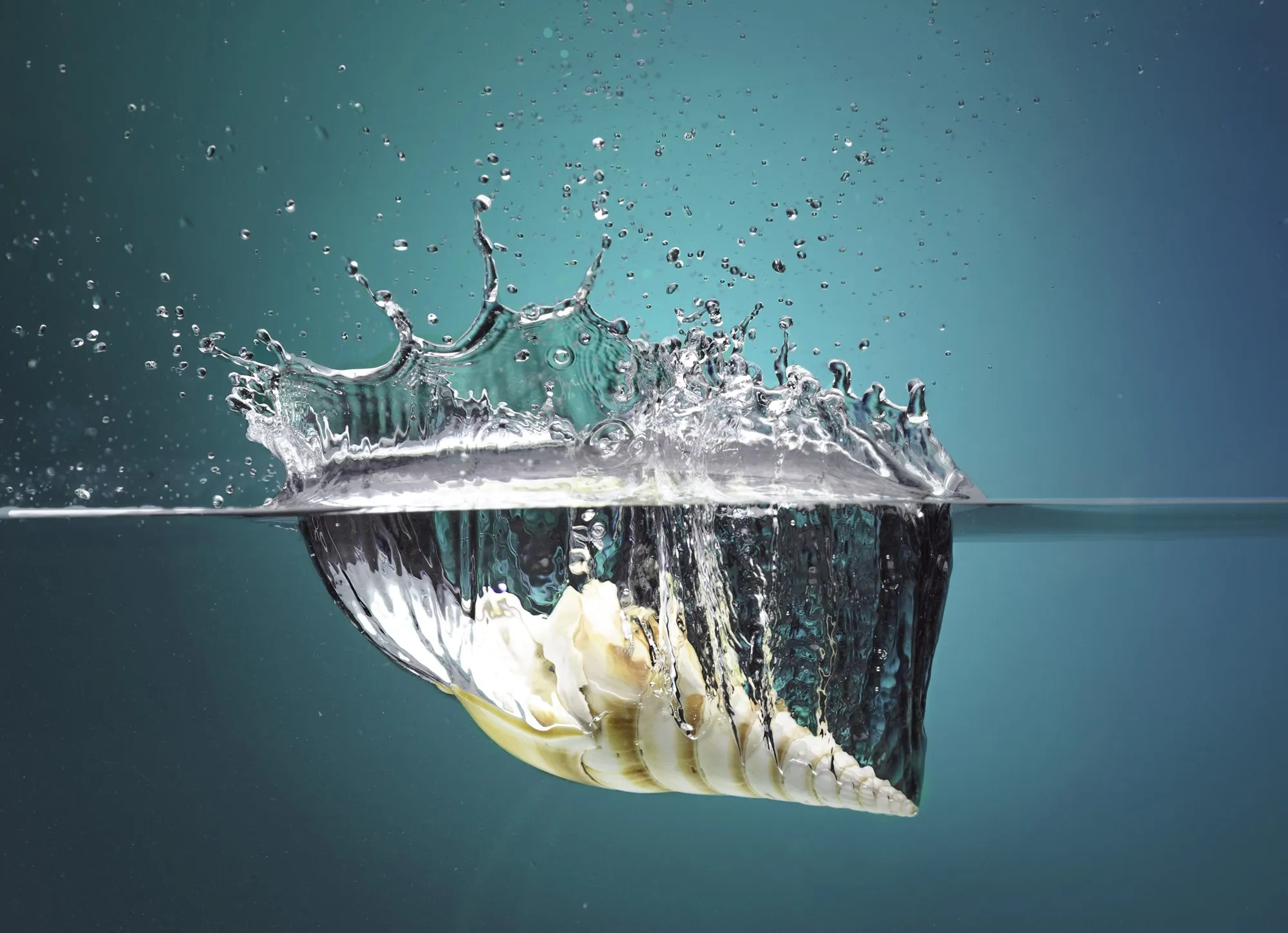 A pale object sits within a crown of water droplets against a blue field.