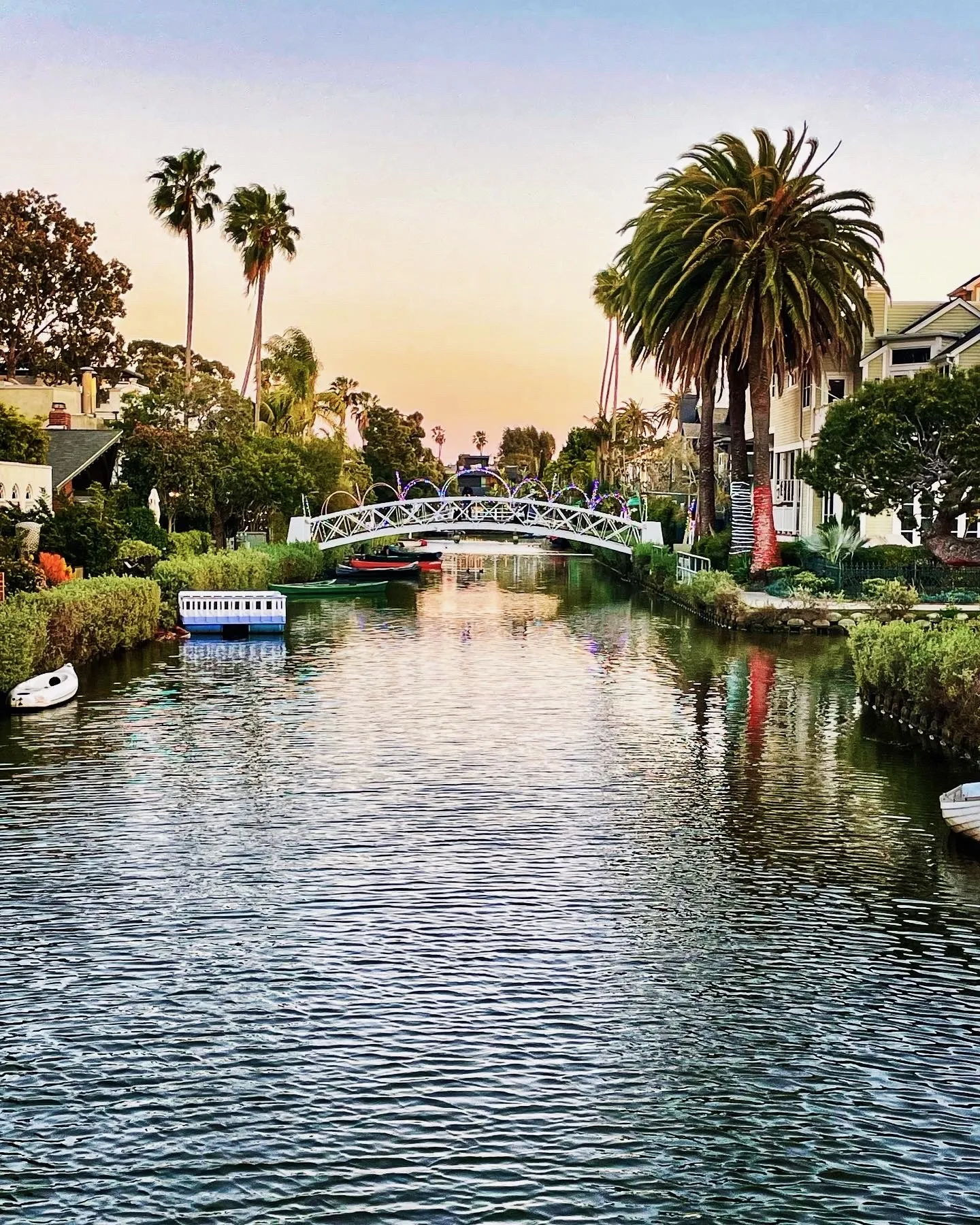 Palm trees and boats line a calm Venice canal beneath a clear afternoon sky.
