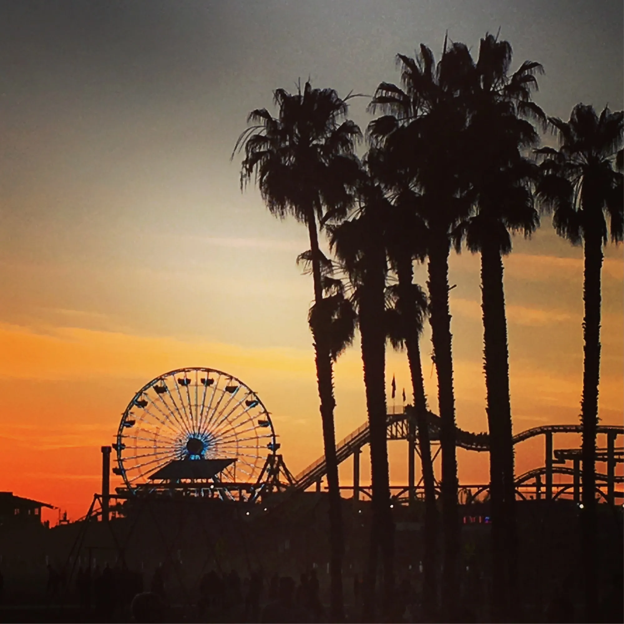 Palm trees and a Ferris wheel silhouetted in warm evening light