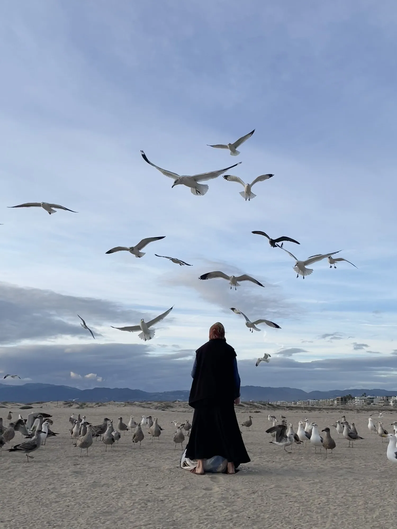 Sister Nina stands among gulls on the beach.