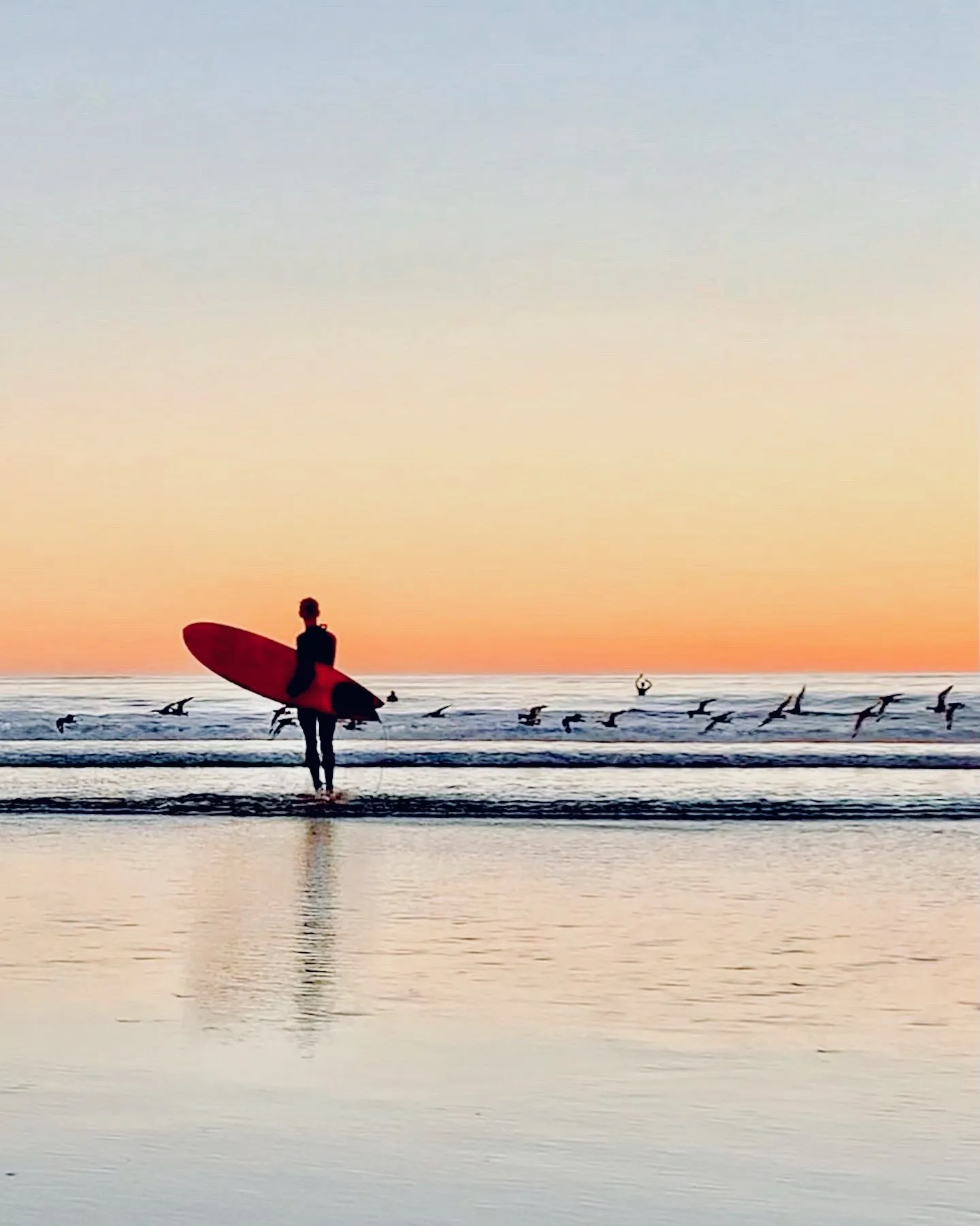 Surfer walking through the shallows. A beach observation made in the changing evening light.