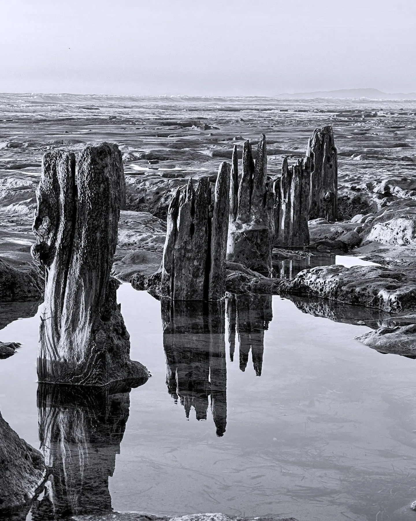 Weathered wooden pilings rise from tide pools and reflect in still water.